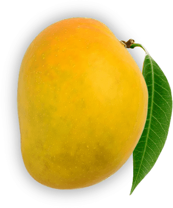 Chemically Ripened Mango
